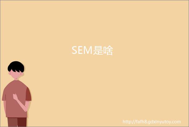 SEM是啥